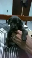bidu