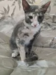 Anita