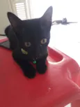 Logan