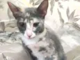 Anita