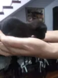 Não tem