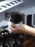 Não tem