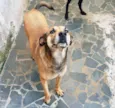 TÔ ENCALHADO!
