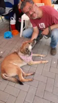 TÔ ENCALHADO!