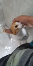 Weasley