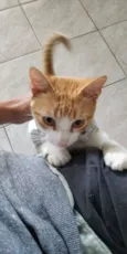 Weasley