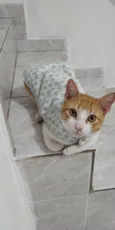 Weasley