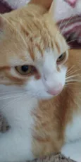 Weasley