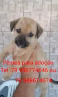 Lucy