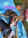 Jhully
