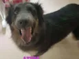Atena