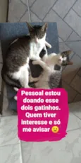 Pojuca e Juca 