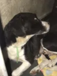 Lupita