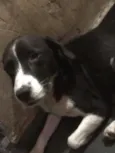 Lupita
