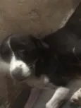 Lupita
