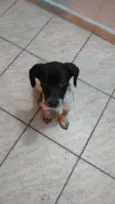 Milly