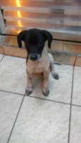Milly