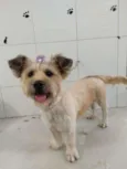 Julie
