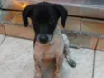 Milly