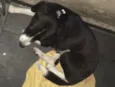 Lupita