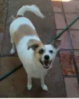 Manu