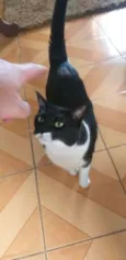 Namastê