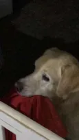 Marley