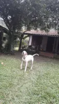 Luck