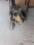 Lili