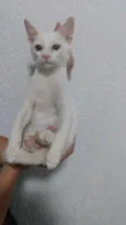 Sem nome ainda