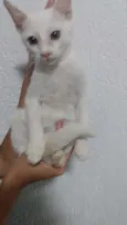 Sem nome ainda