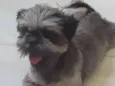 Mel