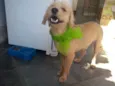 Lucky
