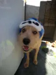 Lucky