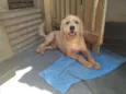 Lucky