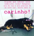 Não tem nome