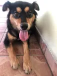 Não tem nome