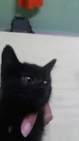 Selina