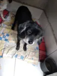 Lilica