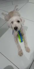 Tutuco