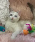 Angelina