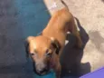 Porpeta