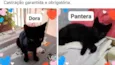 Pantera/ Dora