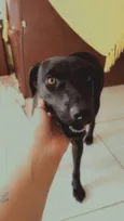 Preta