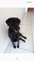Preta