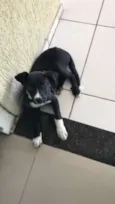 BUG