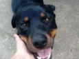 Ralph