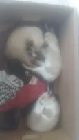 Não tem nome