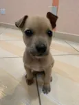 Belinha