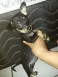Mel